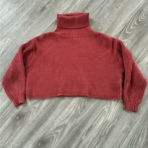 Dress Forum Ribbed Cropped Turtleneck Sweater | S | Brick Red